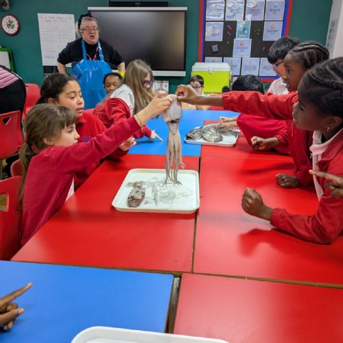 Billingsgate Fish Market Workshop