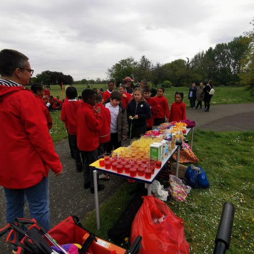 IMG20240425134452