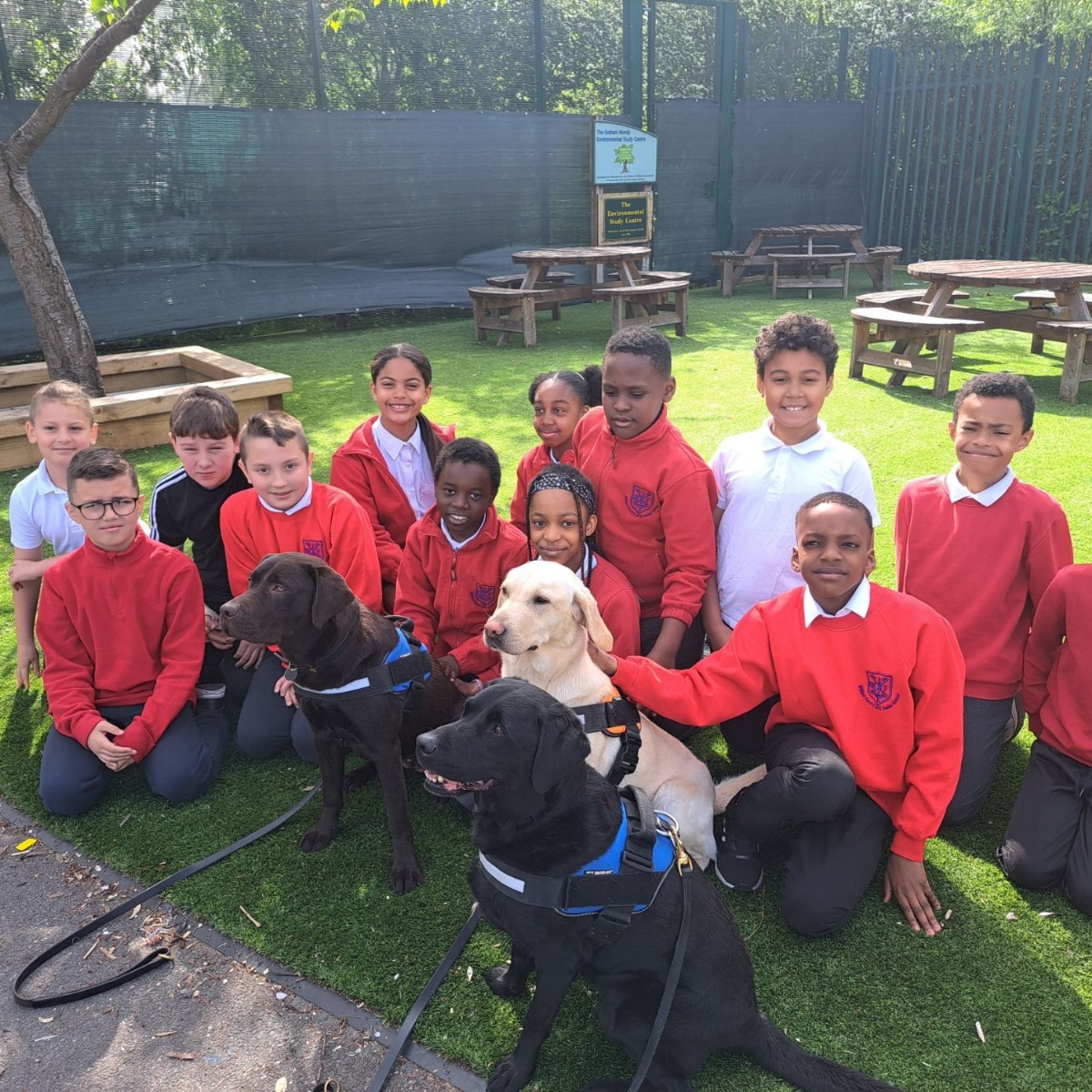 William Ford Junior School Visit from Police Wellbeing Dogs